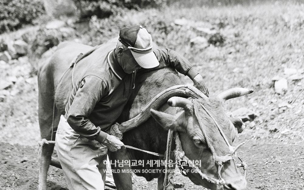 '진심, 아버지를 읽다'전 작품 〈기경〉