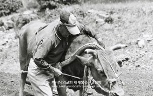 기경 멜기세덱출판사.jpg