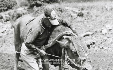 '진심, 아버지를 읽다'전 작품 <기경>