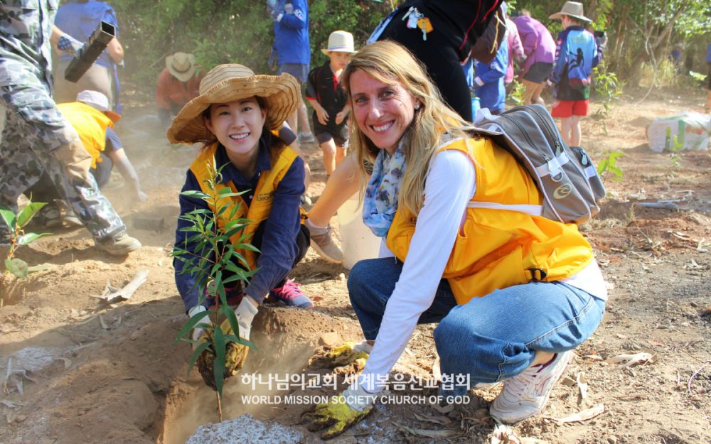 호주 케언스 아서 스트라이크 공원 나무심기