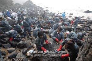 태안 기름 유출사고 방제작업.jpg