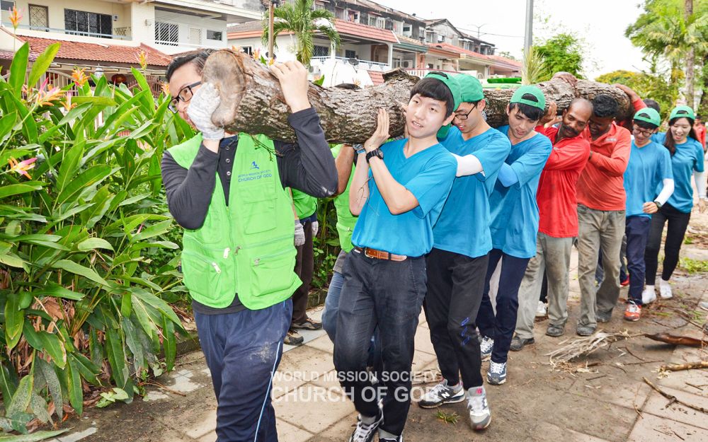 타만코노트 4구역 환경정화
