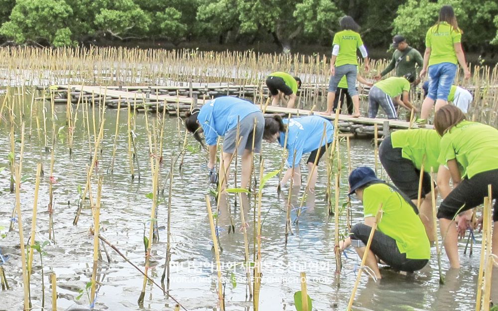 태국 방콕으로 간 한국 회원들이 사뭇쁘라깐 방뿌마이 지역에서 현지 회원들과 같이 나무를 심고 있다.