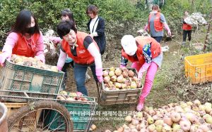 하나님의 교회 경북동부연합회-태풍콩레이 수해복구.jpg