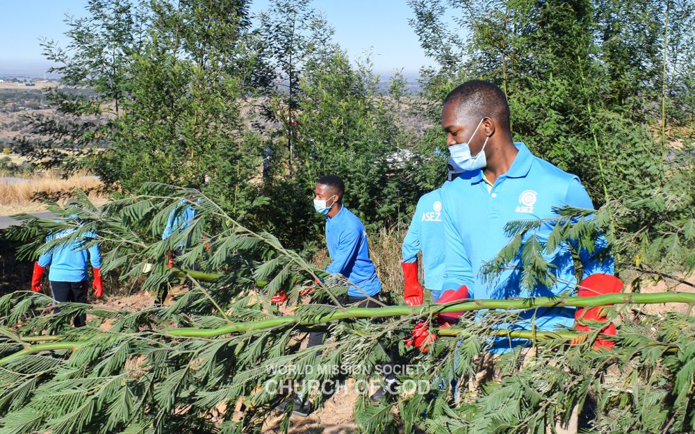 남아프리카공화국 프리토리아 ASEZ-생태계교란식물 제거(클래퍼콥 자연보호구역)